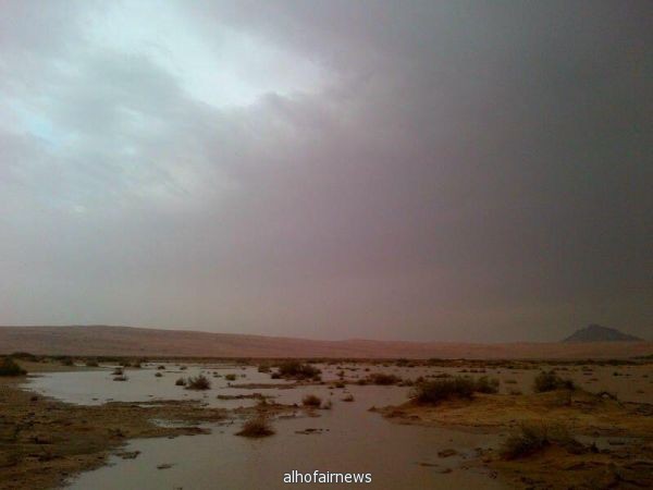 صور أمطار اليوم 24-12