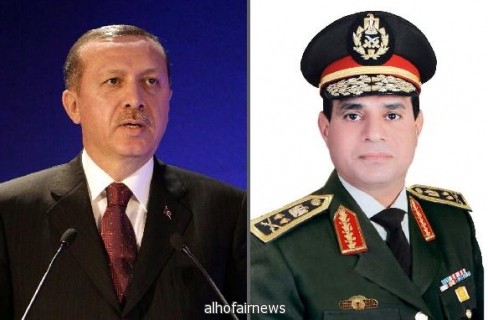 أردوغان يتقدم على السيسي في استطلاع تايم لشخصية العام