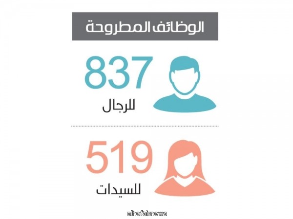 القطاع الخاص يوفر 1356 وظيفة لمستفيدي الضمان الاجتماعي