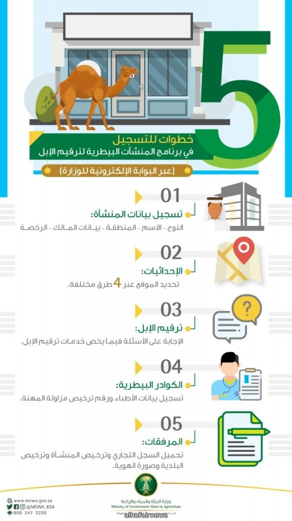 البيئة تمكّن المنشآت البيطرية من ترقيم الابل إلكترونياً.. و5 خطوات للتسجيل في البرنامج